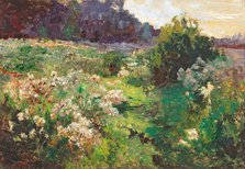 Meadow, 1926. Creator: Wisinger-Florian, Olga (1844-1926).