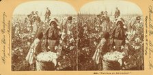 We'se done all dis's Mornin'." [Girls with basket of cotton in the field], (1868-1900?). Creator: Unknown.