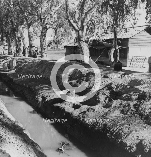 Ditch bank housing for Mexican field workers, Imperial Valley, California, 1937. Creator: Dorothea Lange.