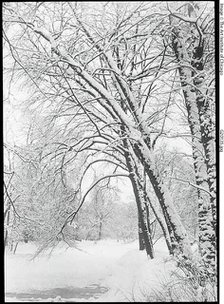 Snowscape, Berlin, 1888/92. Creator: Alfred Stieglitz.