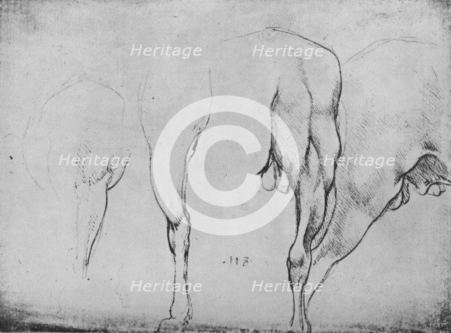 'Studies of Horses' Legs', c1480 (1945). Artist: Leonardo da Vinci.