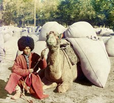 Man with camel loaded with packs, between 1905 and 1915. Creator: Sergey Mikhaylovich Prokudin-Gorsky.