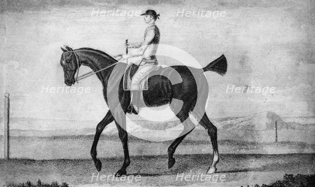 'Little Driver', c1850-1900, (1911). Artist: Unknown.