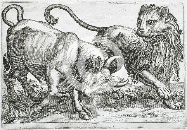 A Bull Attacking a Lion, 1610. Creator: Hendrick Hondius I.
