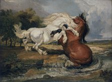 'Fighting horses', 1808. Artist: James Ward.