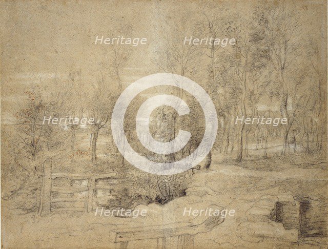 Woodland Scene, early 17th century. Artist: Peter Paul Rubens.