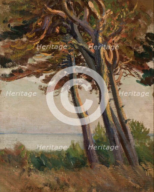 Pines at Polaga, 1908. Creator: Leon Wyczolkowski.