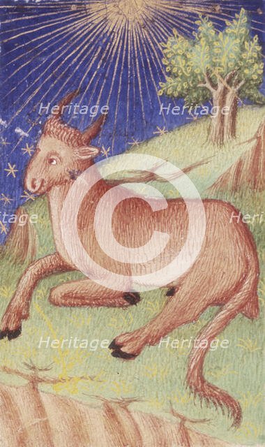 A bull lying down, 1423. Creator: Unknown.