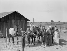 Chris Adolf, his team, and...children on their new farm, Washington, Yakima Valley, 1939. Creator: Dorothea Lange.