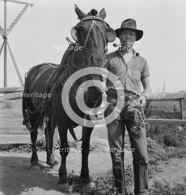 Hired man on the Myers farm, near Outlook, Yakima County, Washington, 1939. Creator: Dorothea Lange.