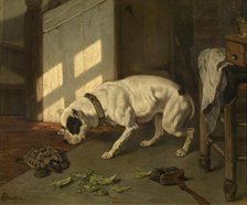 Dog with Tortoise, c1840-1890. Creator: Joseph Stevens.