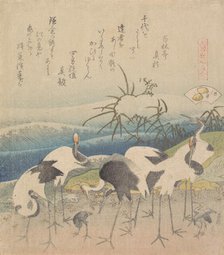 Ashi Clam, from the series "Genroku Kasen Kai-awase", 1821. Creator: Hokusai.