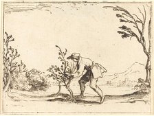 Man Cutting a Balm-Tree. Creator: Jacques Callot.