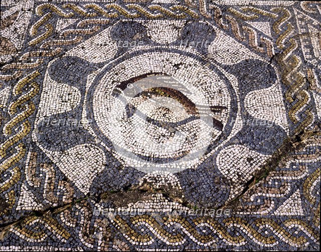 Mosaic in the dining room of the Amphitheatre house representing a fish, preserved in the archaeo…