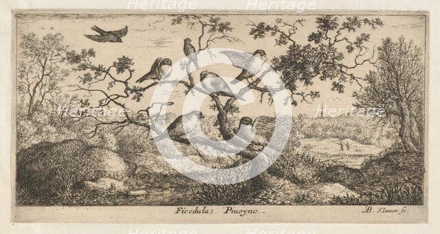 Ficedula, Piuoyne (The Bullfinch): Livre d'Oyseaux (Book of Birds), 1655-1660., Creator: albert flamen.