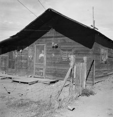 Family living in shacktown community, Washington, Yakima Valley, Wapato, 1939. Creator: Dorothea Lange.