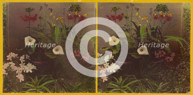 An array of flowers, about 1865-1875. Creator: Benjamin West Kilburn.