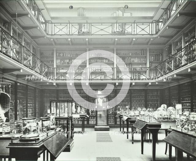 39-43 Lincoln's Inn Fields, Westminster LB, London: Royal College of Surgeons, museum room 2, 1911. Creator: Unknown.