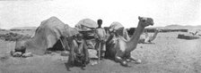 ''Types de Bicharins; Le Nord-Est Africain', 1914. Creator: Unknown.