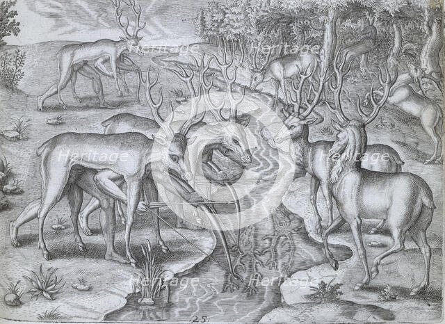 Indians using deer skins to hunt deer, 1591. Creator: Theodor de Bry.