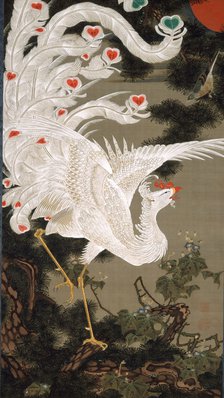 White Phoenix and Old Pine Tree, 1766.