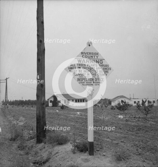 Sign on road entering California where there is now plant quarantine inspection, 1937. Creator: Dorothea Lange.
