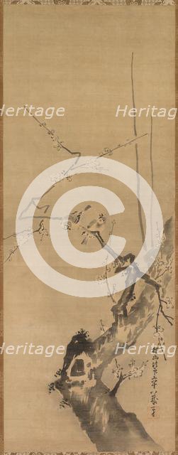 Sparrows on Blossoming Plum, 17th century. Creator: Kano Tan?y? (Japanese, 1602-1674), attributed to.