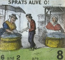'Sprats Alive O!', Cries of London, c1840. Artist: TH Jones
