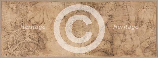 Torsos with Rib Cages, early 1540s. Creator: Battista Franco (Italian, c. 1510-1561).