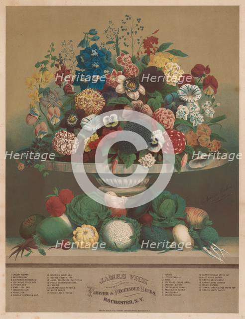 Flowers and Vegetables, 1800s. Creator: Anton Carl Rahn (American, born Germany, 1842-1907).