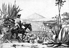 Festival of St. Antony at the Chapel of San Antonio, Tenerife, 1890. Creator: P Naumann.