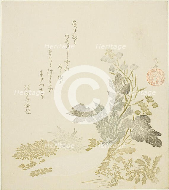 A Giant Radish (daikon), Chrysanthemums and Ferns, About 1820. Creator: Shinsai.