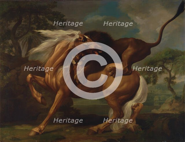 A Lion Attacking a Horse, 1762. Creator: George Stubbs.