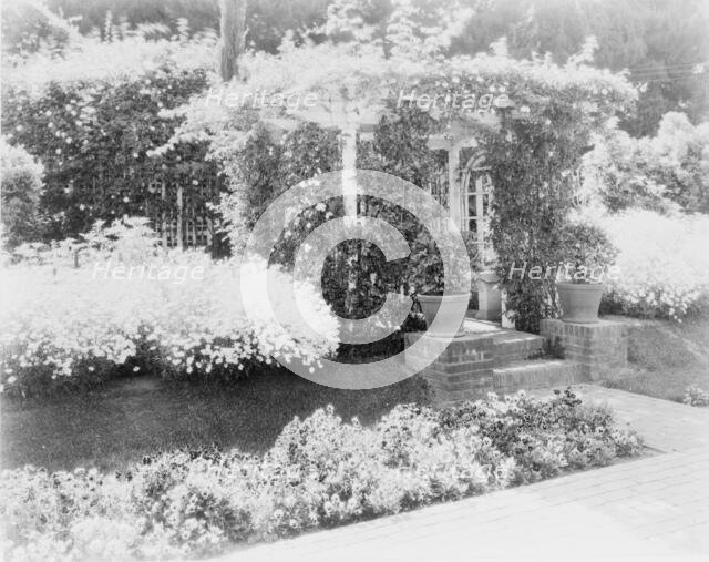Small arbor covered with roses, with daisies and pansies on... Pasadena, California, c1903 - 1923. Creator: Frances Benjamin Johnston.
