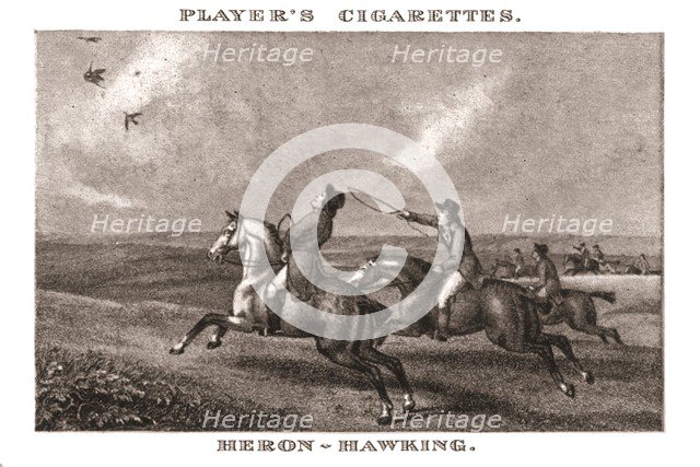 'Heron-Hawking', (1924). Creator: Unknown.