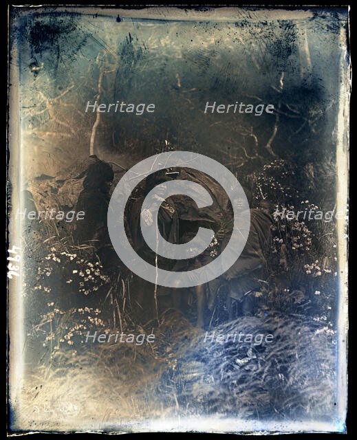 United States Fish Commission Steamer "Albatross" Circumnavigation of South America, 1888. Creator: United States National Museum Photographic Laboratory.