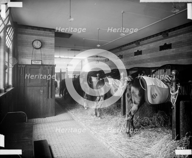 Stables in North Audley Street, Westminster, London, 1890. Artist: Bedford Lemere and Company