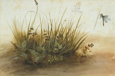 A Small Piece of Turf, 1584. Creator: Hans Hoffmann.