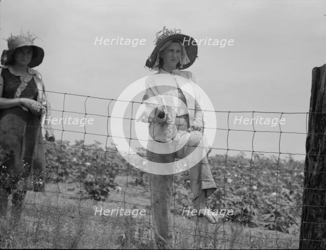 The landowner's daughter hoes cotton on a south Georgia farm, 1937. Creator: Dorothea Lange.