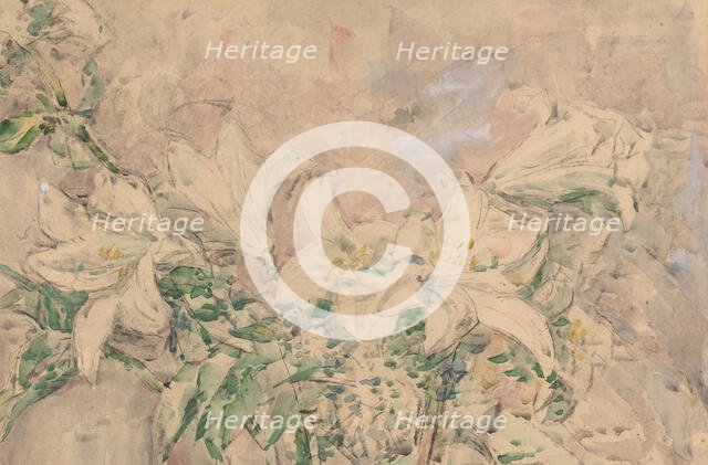 Lilies, 1873-1932. Creator: Willem Steenhoff.