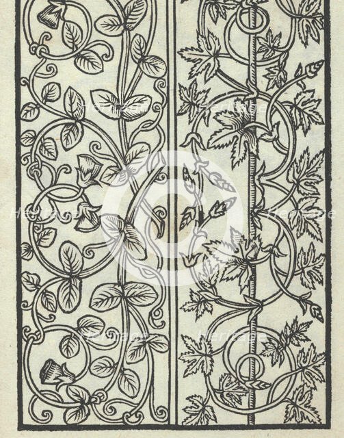 Libro quarto. De rechami per elquale se impara in diuersi modi lordine e il modo de re..., ca. 1532. Creator: Alessandro Paganino.