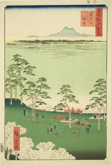 View to the North from Asuka Hill (Asukayama kita no chobo), from the series "One Hundred..., 1856. Creator: Ando Hiroshige.
