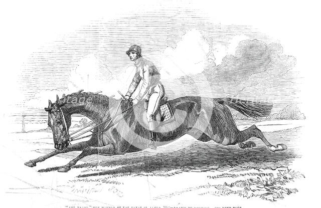 The Baron, the winner of the Great St. Leger 1845 - drawn by Herring, 1845. Creator: Unknown.
