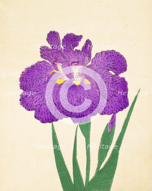 Kyo-Nishiki, No. 11, 1890, (colour woodblock print)