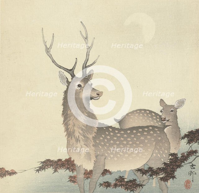 Two Deer, Between 1910 and 1920. Creator: Ohara, Koson (1877-1945).