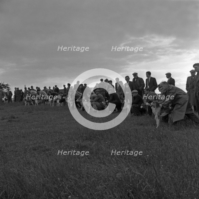 Hound Trailing, one of Cumbria's oldest and most popular sports, Keswick, 2nd July 1962. Artist: Michael Walters