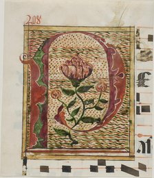 Decorated Initial "P" with Flowers from a Manuscript, n.d. Creator: Unknown.