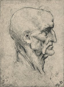'Profile to the Right of an Elderly Bald Man, c1480 (1945). Artist: Leonardo da Vinci.