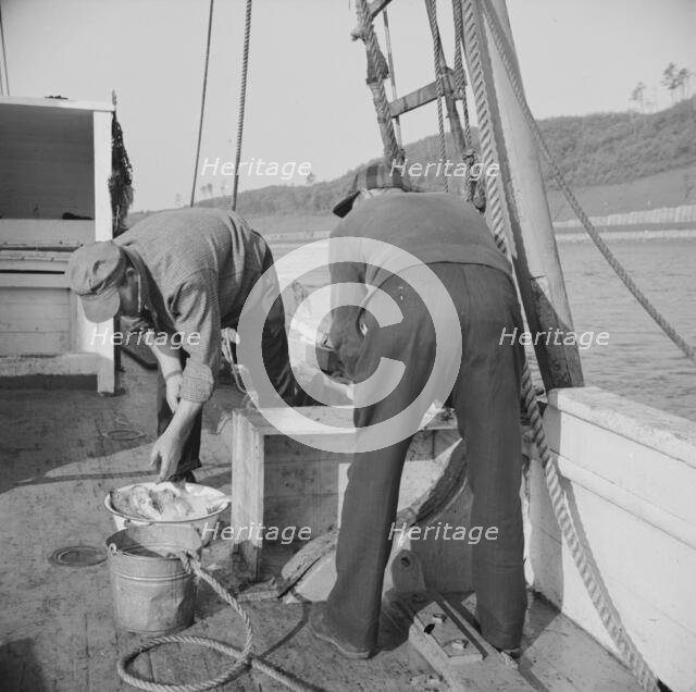 On board the fishing boat Alden, out of Glocester, Massachusetts, 1943. Creator: Gordon Parks.