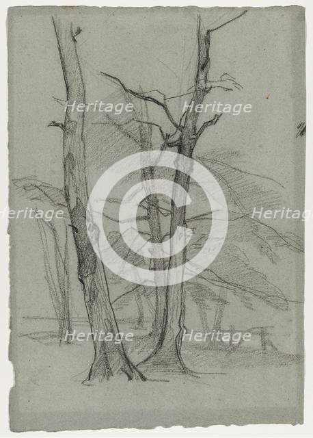 Landscape Study with Trees, c. 1870-1875. Creator: Thomas Couture (French, 1815-1879).